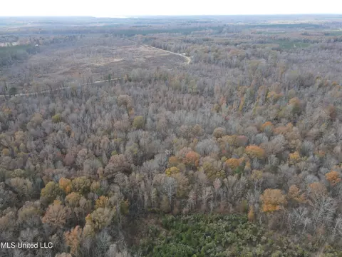 Coal Bluff Road, Lena, MS 39094 photo 8