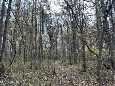 Coal Bluff Road, Lena, MS 39094 photo 50