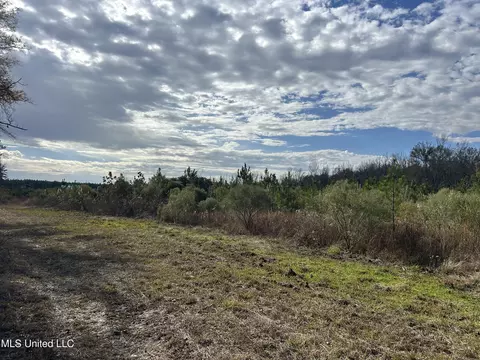 Coal Bluff Road, Lena, MS 39094 photo 28