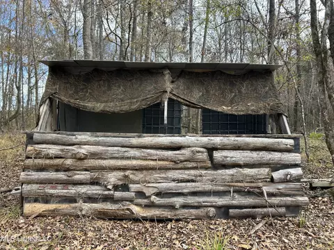 Coal Bluff Road, Lena, MS 39094 photo 46