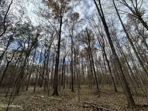 Coal Bluff Road, Lena, MS 39094 photo 43