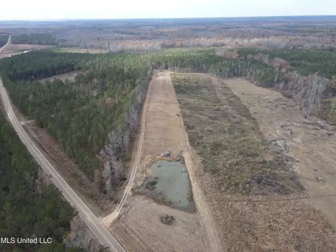 Coal Bluff Road, Lena, MS 39094 photo 19
