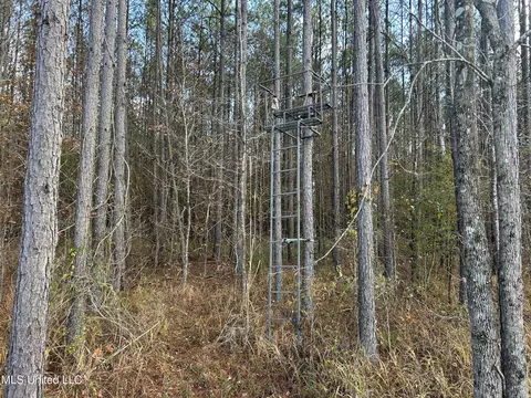 Coal Bluff Road, Lena, MS 39094 photo 35