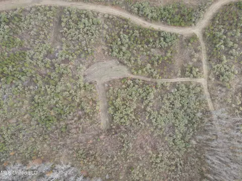 Coal Bluff Road, Lena, MS 39094 photo 14