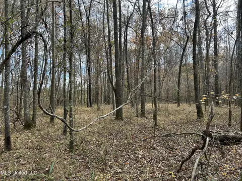 Coal Bluff Road, Lena, MS 39094 photo 44