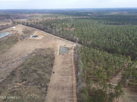 Coal Bluff Road, Lena, MS 39094 photo 17
