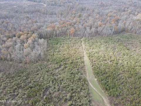 Coal Bluff Road, Lena, MS 39094 photo 6