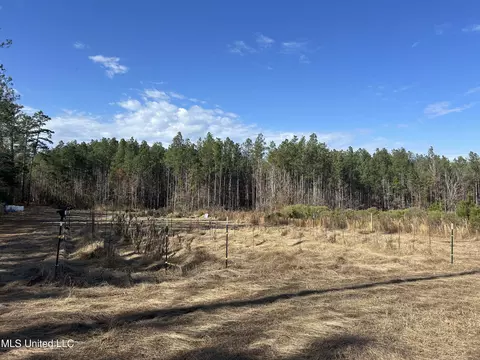 Coal Bluff Road, Lena, MS 39094 photo 25