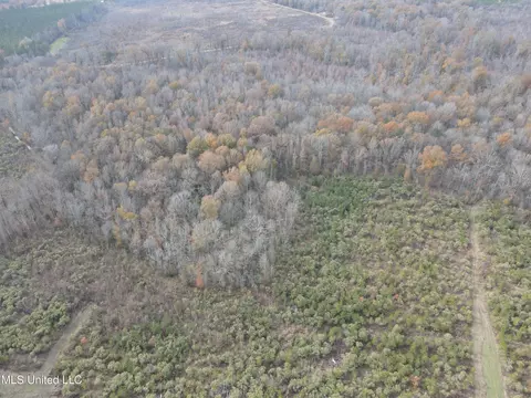 Coal Bluff Road, Lena, MS 39094 photo 7