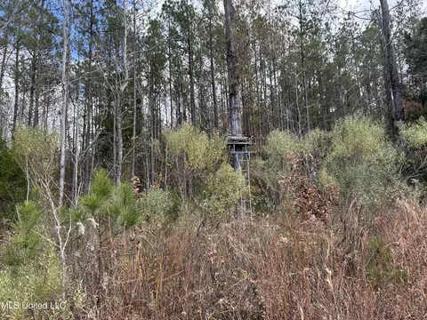 Coal Bluff Road, Lena, MS 39094 photo 60