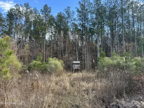 Coal Bluff Road, Lena, MS 39094 photo 32