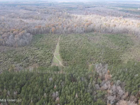 Coal Bluff Road, Lena, MS 39094 photo 4