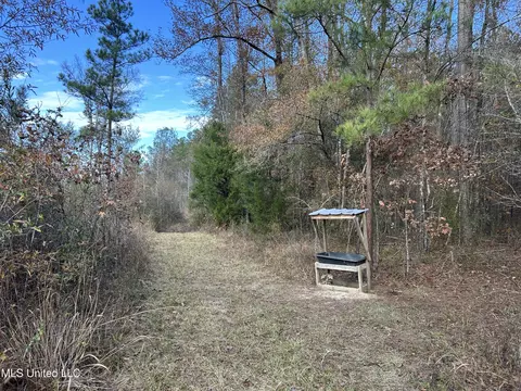 Coal Bluff Road, Lena, MS 39094 photo 36