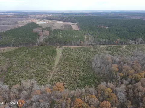 Coal Bluff Road, Lena, MS 39094 photo 11