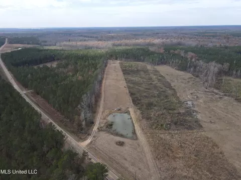 Coal Bluff Road, Lena, MS 39094 photo 18