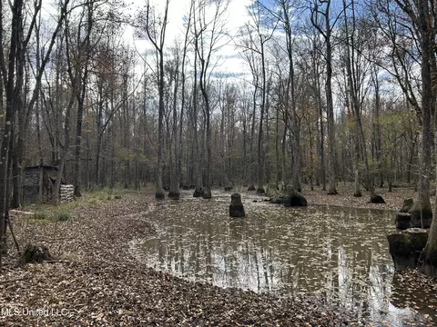 Coal Bluff Road, Lena, MS 39094 photo 45