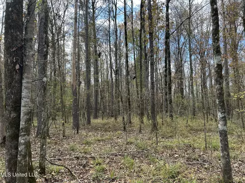 Coal Bluff Road, Lena, MS 39094 photo 41