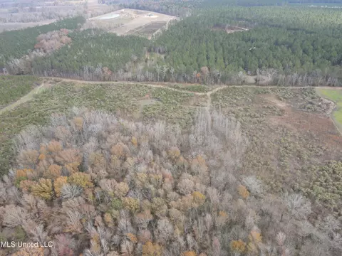 Coal Bluff Road, Lena, MS 39094 photo 12
