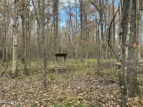 Coal Bluff Road, Lena, MS 39094 photo 42