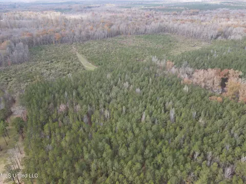 Coal Bluff Road, Lena, MS 39094 photo 3