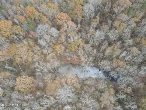 Coal Bluff Road, Lena, MS 39094 photo 10