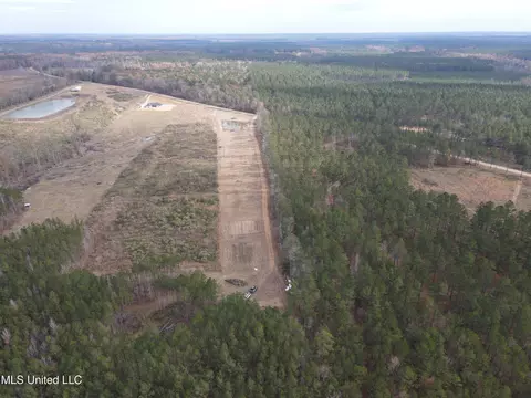 Coal Bluff Road, Lena, MS 39094 photo 16