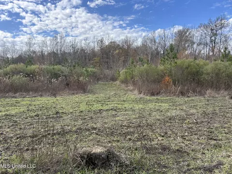 Coal Bluff Road, Lena, MS 39094 photo 54