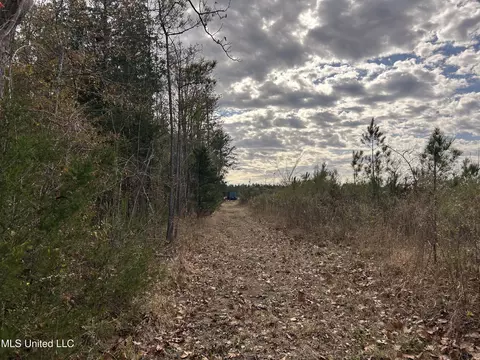 Coal Bluff Road, Lena, MS 39094 photo 56