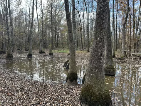 Coal Bluff Road, Lena, MS 39094 photo 47