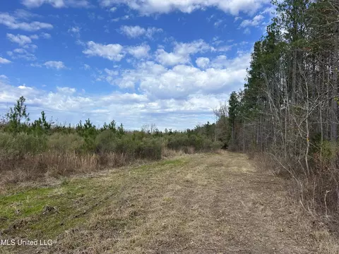 Coal Bluff Road, Lena, MS 39094 photo 61