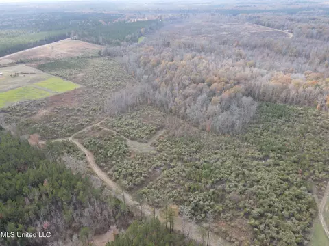 Coal Bluff Road, Lena, MS 39094 photo 5