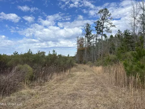 Coal Bluff Road, Lena, MS 39094 photo 58