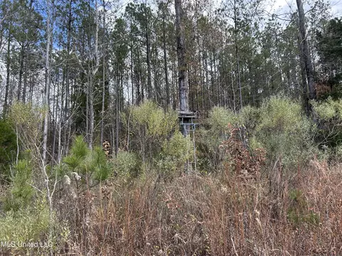 Coal Bluff Road, Lena, MS 39094 photo 59