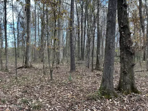 Coal Bluff Road, Lena, MS 39094 photo 51