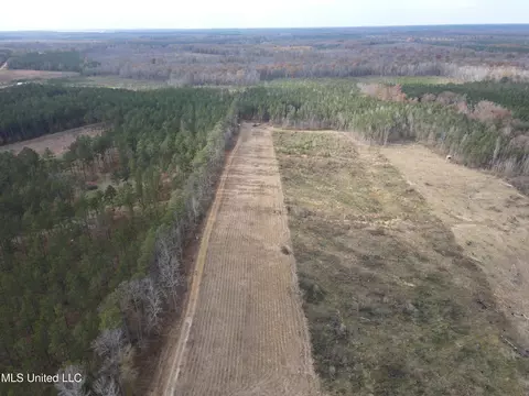 Coal Bluff Road, Lena, MS 39094 photo 20
