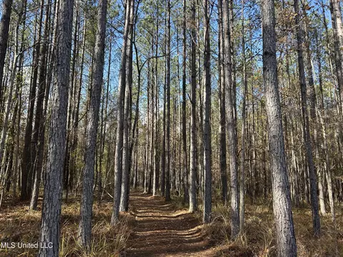 Coal Bluff Road, Lena, MS 39094 photo 26