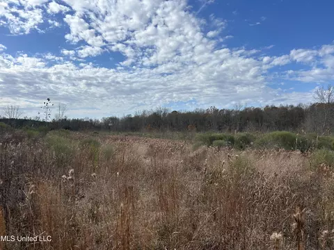Coal Bluff Road, Lena, MS 39094 photo 57