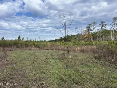 Coal Bluff Road, Lena, MS 39094 photo 53