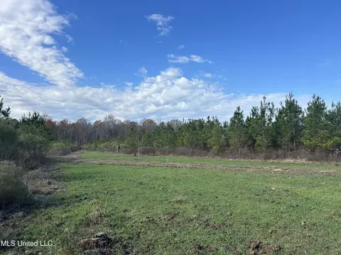 Coal Bluff Road, Lena, MS 39094 photo 31