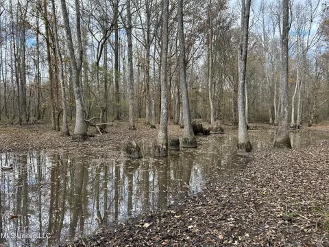 Coal Bluff Road, Lena, MS 39094 photo 48