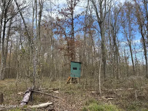 Coal Bluff Road, Lena, MS 39094 photo 40