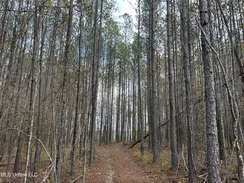 Coal Bluff Road, Lena, MS 39094 photo 62