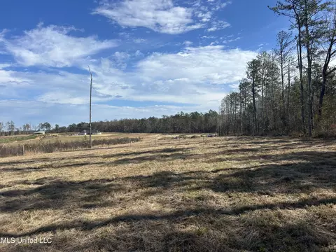 Coal Bluff Road, Lena, MS 39094 photo 24