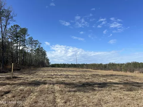 Coal Bluff Road, Lena, MS 39094 photo 22