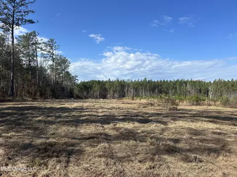 Coal Bluff Road, Lena, MS 39094 photo 23