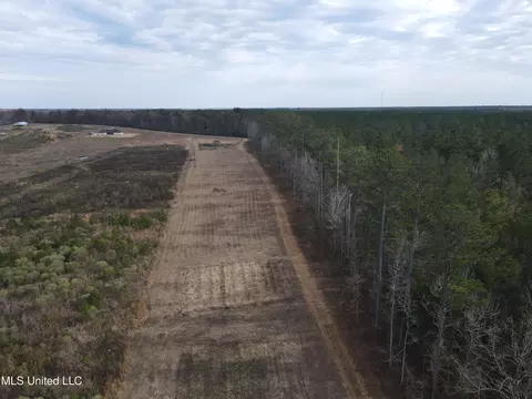 Coal Bluff Road, Lena, MS 39094 photo 15