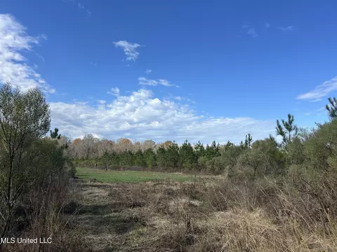 Coal Bluff Road, Lena, MS 39094 photo 30