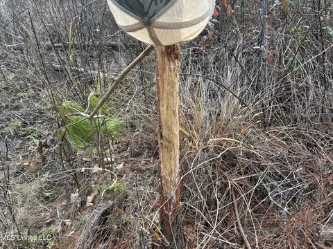Coal Bluff Road, Lena, MS 39094 photo 39