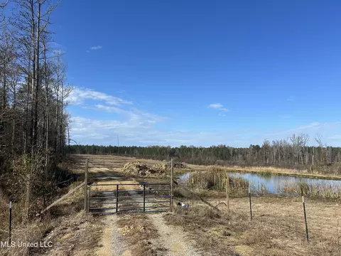 Coal Bluff Road, Lena, MS 39094 photo 21