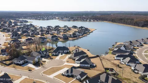 View/Area - 102 Camden Vale, Madison, MS 39110 photo 1 of 3